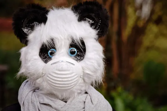 Casino Eight Storm Ondersteuning